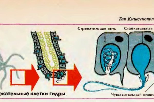 Кракен 16 at