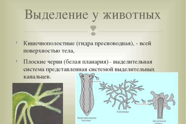 Как войти на кракен