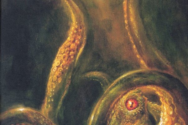 Kraken 20at net