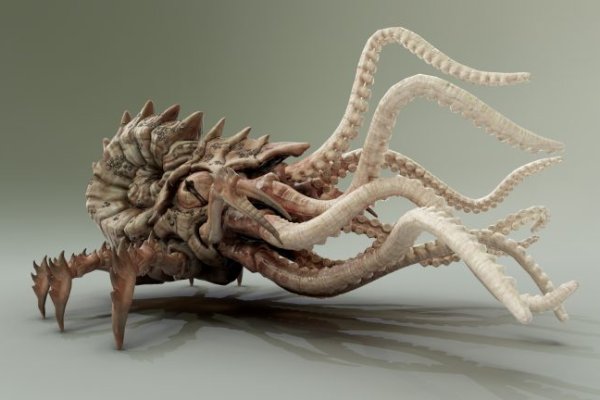 Kraken новая ссылка