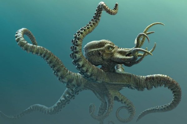 Кракен мониторинг ссылок kraken torion