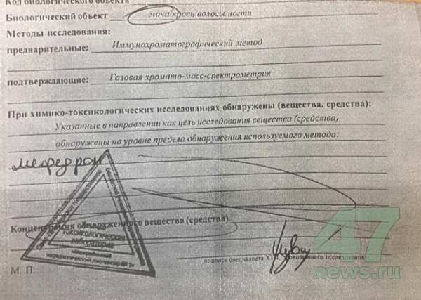 Кракен ссылка тупа германия