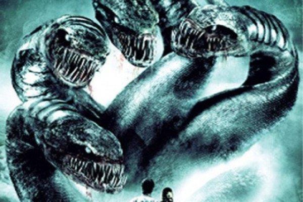 Kraken рынок